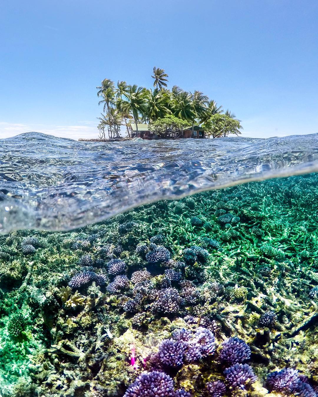 Фотография: Тропический рай: Микронезия и Маршалловы острова на снимках Роберта Майкла Пула №5 - BigPicture.ru