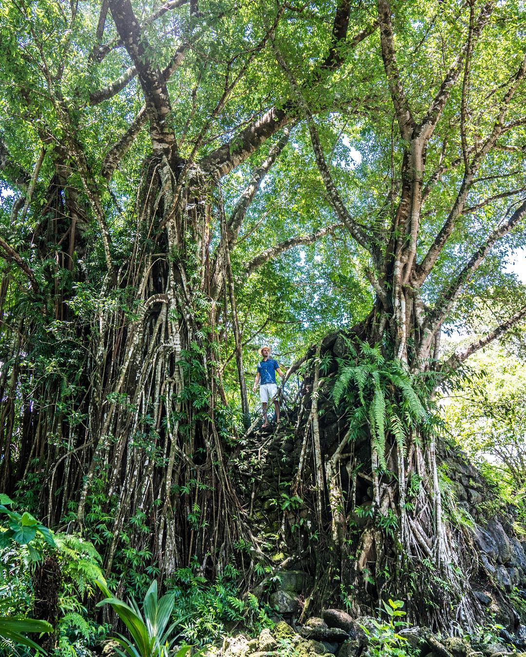 Фотография: Тропический рай: Микронезия и Маршалловы острова на снимках Роберта Майкла Пула №13 - BigPicture.ru