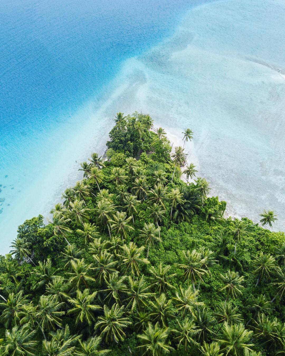 Фотография: Тропический рай: Микронезия и Маршалловы острова на снимках Роберта Майкла Пула №24 - BigPicture.ru