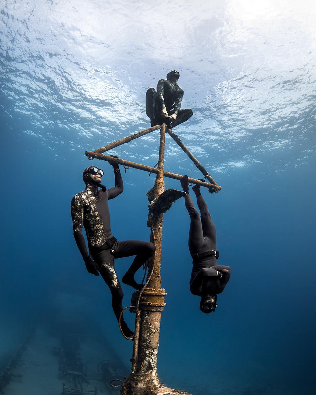 Андре Масгроув (André Musgrove) и его невероятные подводные снимки