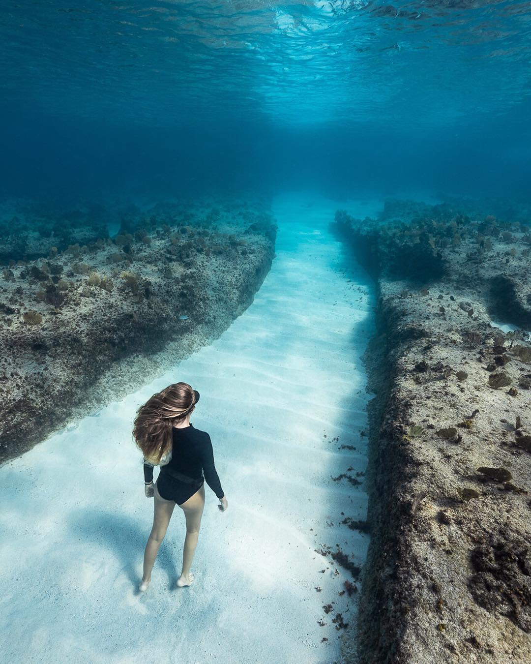 невероятные подводные снимки