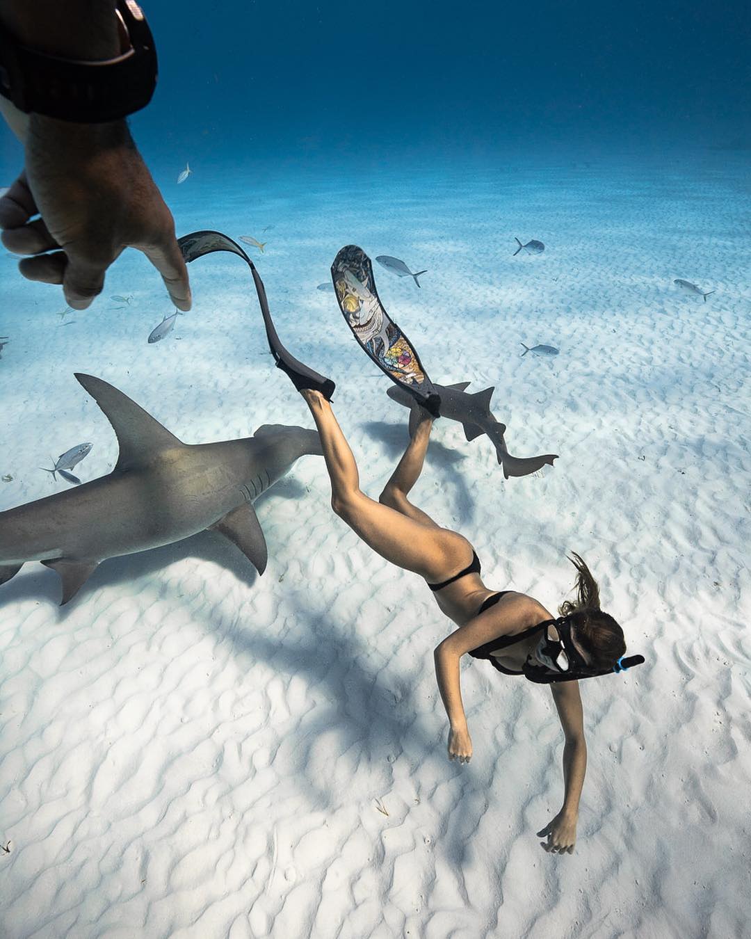 Андре Масгроув (André Musgrove) и его невероятные подводные снимки