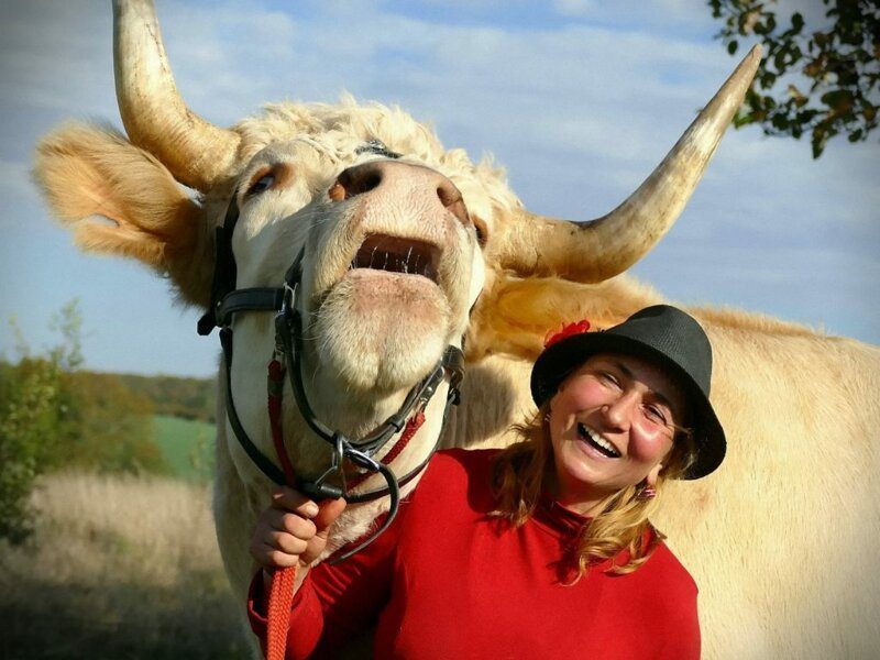 Фотография: Дрессировщица из Франции воспитала скакового быка №6 - BigPicture.ru