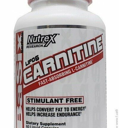 Плюсы и минусы л карнитина. Информация, советы и отзывы