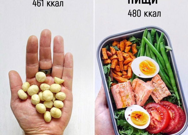 25 доказательств того, что маленькая порция не поможет похудеть