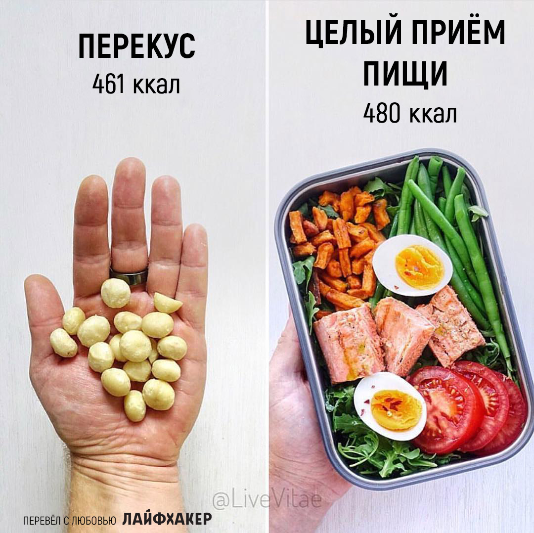 Фотография: 25 доказательств того, что маленькая порция не поможет похудеть №24 - BigPicture.ru