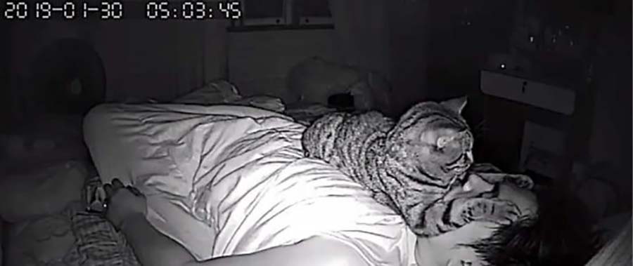 Фотография: Парень установил в своей комнате камеру, чтобы заснять, что ночью делает его кошка №6 - BigPicture.ru