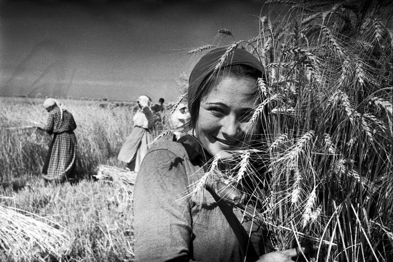 Советская эпоха в фотографиях Маркова-Гринберга