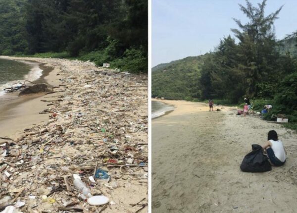 В сети набирает популярность флешмоб #Trashtag: люди убирают мусор и выкладывают фото «до/после»