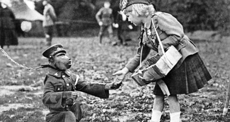 Фотография: История капрала Джеки — самого необычного героя Первой мировой войны №7 - BigPicture.ru