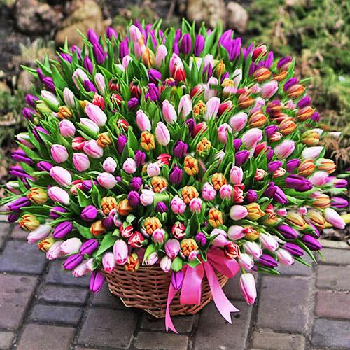 Фотография: Цветы весны: выбираем букеты тюльпанов, ирисов, фрезий ... №1 - BigPicture.ru