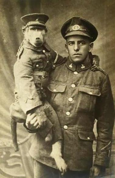 Фотография: История капрала Джеки — самого необычного героя Первой мировой войны №3 - BigPicture.ru