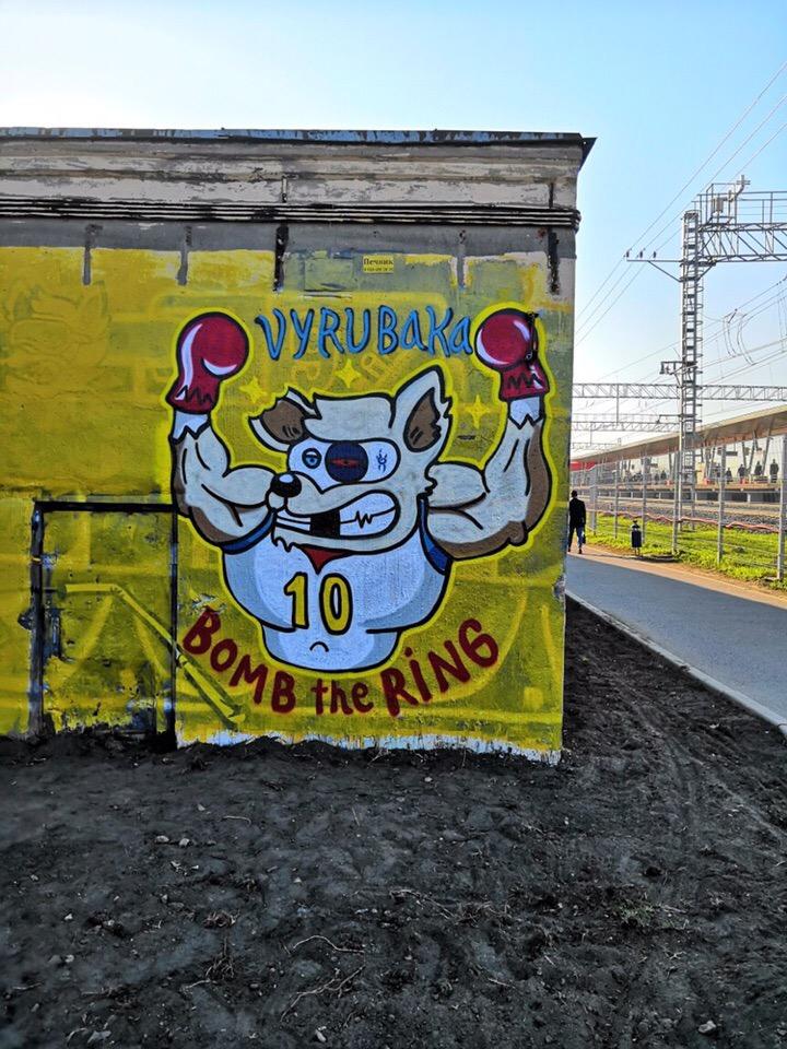 Фотография: Граффити-райтеры vs. ЖКХ, или Битва за стену №12 - BigPicture.ru
