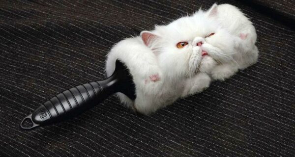 40 креативных рекламных принтов