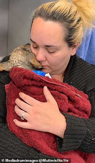 Фотография: Даря жизнь отверженным: семья из Оклахомы спасла более 300 покалеченных и больных собак №13 - BigPicture.ru