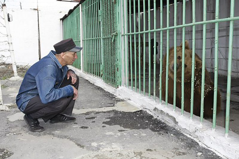 Фотография: За что медведица Катерина отбывает пожизненное в казахстанской колонии №7 - BigPicture.ru