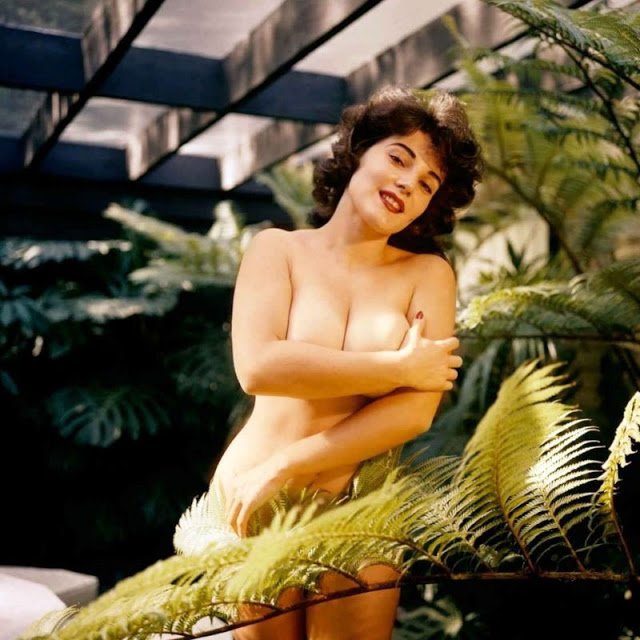 Фотография: Сексапильная красотка с разворотов Playboy 1950-х годов: пышногрудая Жан Яни №11 - BigPicture.ru