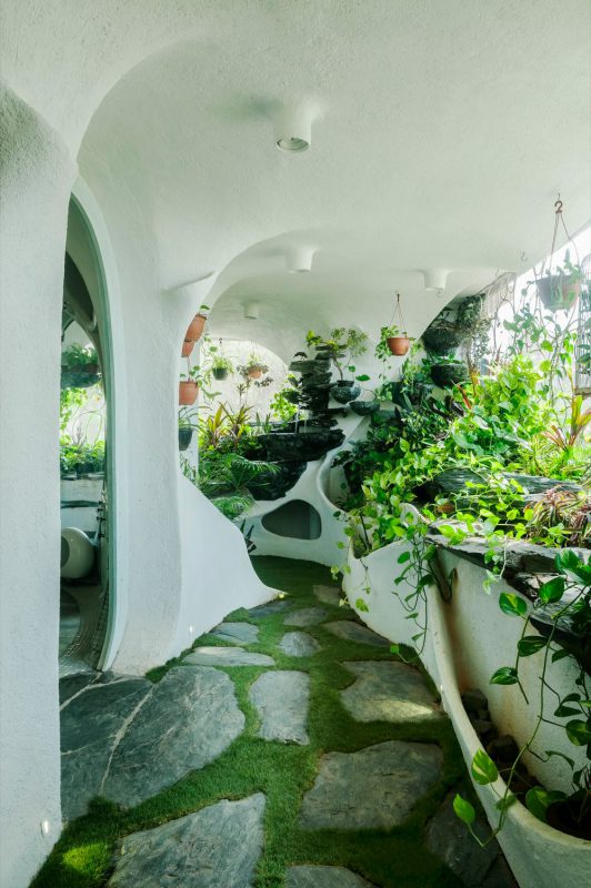 Фотография: Райский уголок в мегаполисе: растения вдохнули жизнь в однокомнатную квартиру №3 - BigPicture.ru