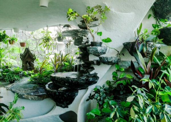 Райский уголок в мегаполисе: растения вдохнули жизнь в однокомнатную квартиру