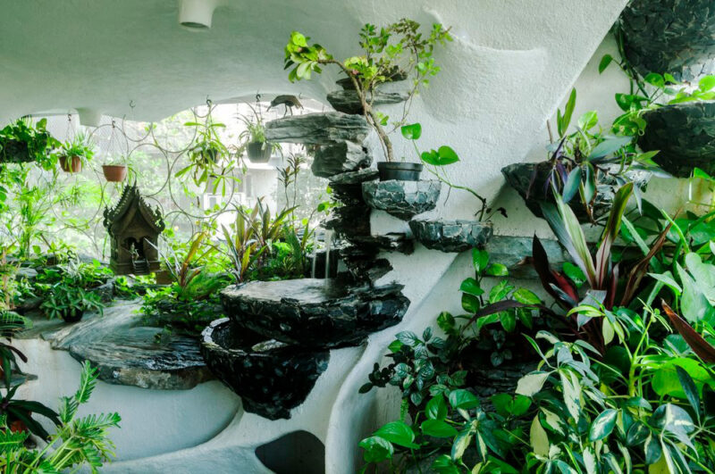 Фотография: Райский уголок в мегаполисе: растения вдохнули жизнь в однокомнатную квартиру №1 - BigPicture.ru