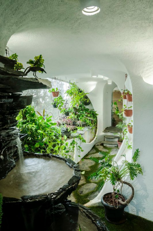 Фотография: Райский уголок в мегаполисе: растения вдохнули жизнь в однокомнатную квартиру №4 - BigPicture.ru