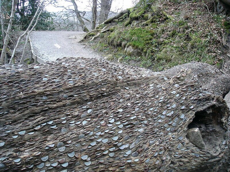 Фотография: 15 монетных деревьев, или Кошмарные сны нумизматов №4 - BigPicture.ru