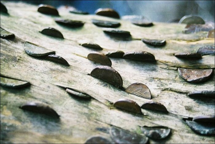 Фотография: 15 монетных деревьев, или Кошмарные сны нумизматов №10 - BigPicture.ru