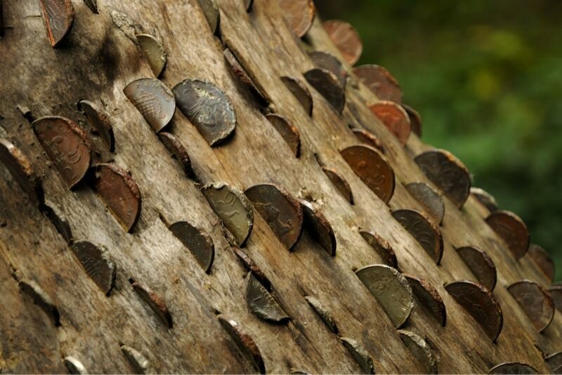 Фотография: 15 монетных деревьев, или Кошмарные сны нумизматов №12 - BigPicture.ru