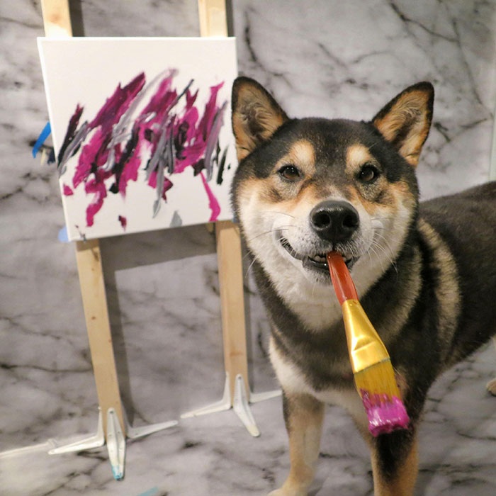 Фотография: Пес породы сиба-ину рисует картины и зарабатывает на этом тысячи долларов №9 - BigPicture.ru