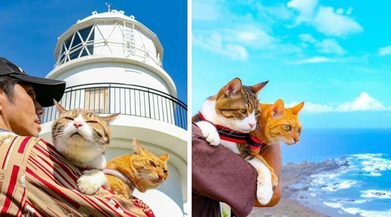 Фотография: Дайкичи и Фуку-Чан — кошки, которые путешествуют вместе со своим хозяином №1 - BigPicture.ru