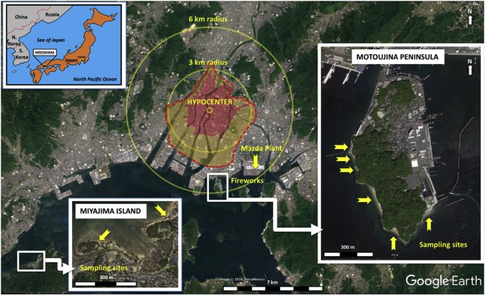 Хиросимиты – удивительные артефакты, созданные ядерным взрывом