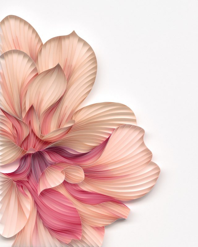 Датская художница мастерит гигантские бумажные цветы (31 фото)