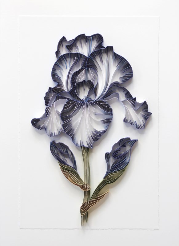 Фотография: Искусство аппликации: потрясающие бумажные цветы от творческого дуэта JUDiTH + ROLFE №10 - BigPicture.ru