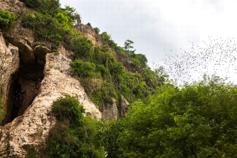 Фотография: Нерукотворная красота: 12 самых удивительных пещер мира №9 - BigPicture.ru