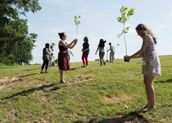 Диплом за саженцы: на Филиппинах выпускники обязаны посадить 10 деревьев