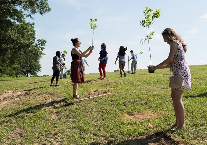 Фотография: Диплом за саженцы: на Филиппинах выпускники обязаны посадить 10 деревьев №1 - BigPicture.ru