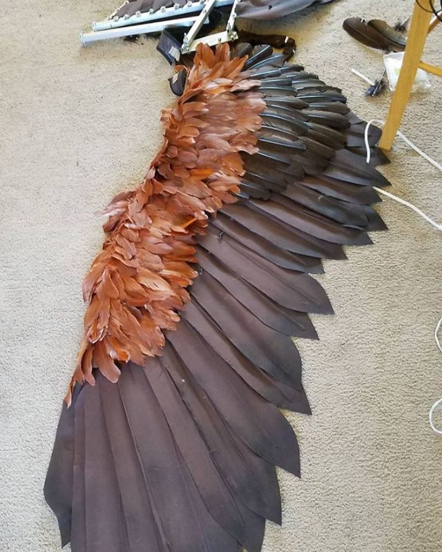 Новогодний костюм райская птица. Как сделать костюм птицы своими руками