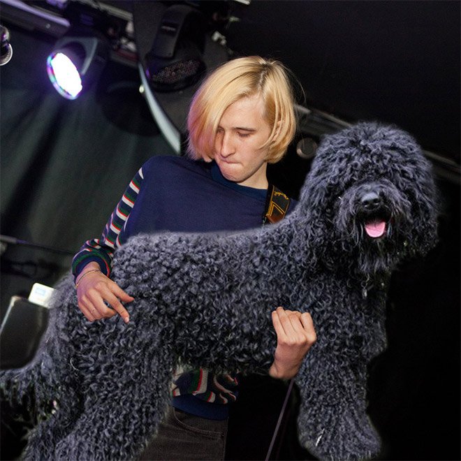 Фотография: Собаки вместо гитар №4 - BigPicture.ru