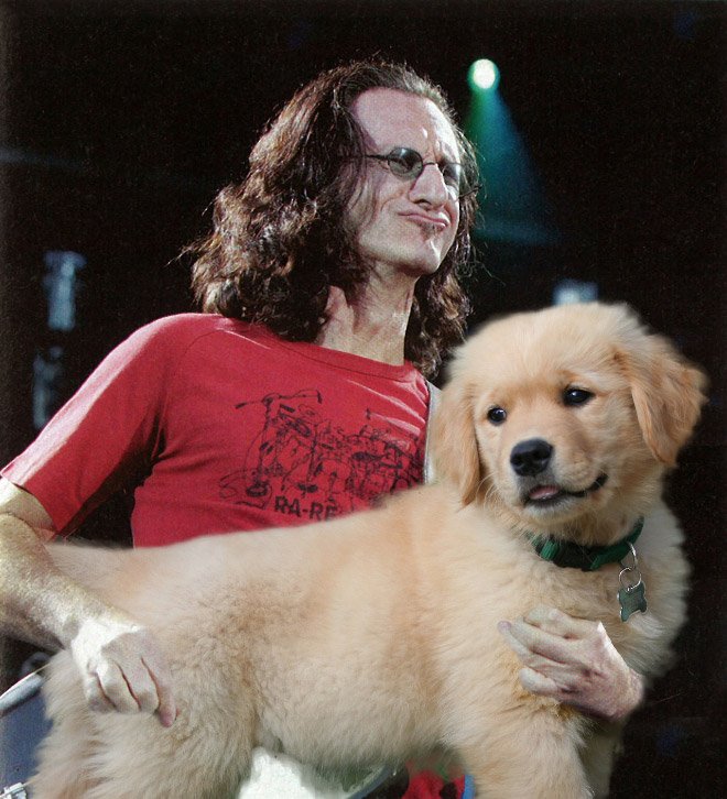 Фотография: Собаки вместо гитар №12 - BigPicture.ru