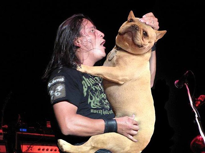 Фотография: Собаки вместо гитар №21 - BigPicture.ru
