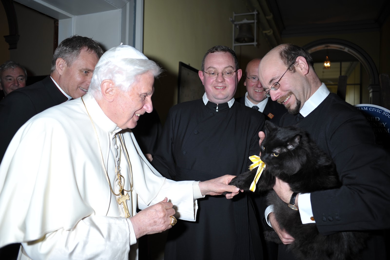 Фотография: Почему католическая церковь испытывала неприязнь к кошкам №8 - BigPicture.ru