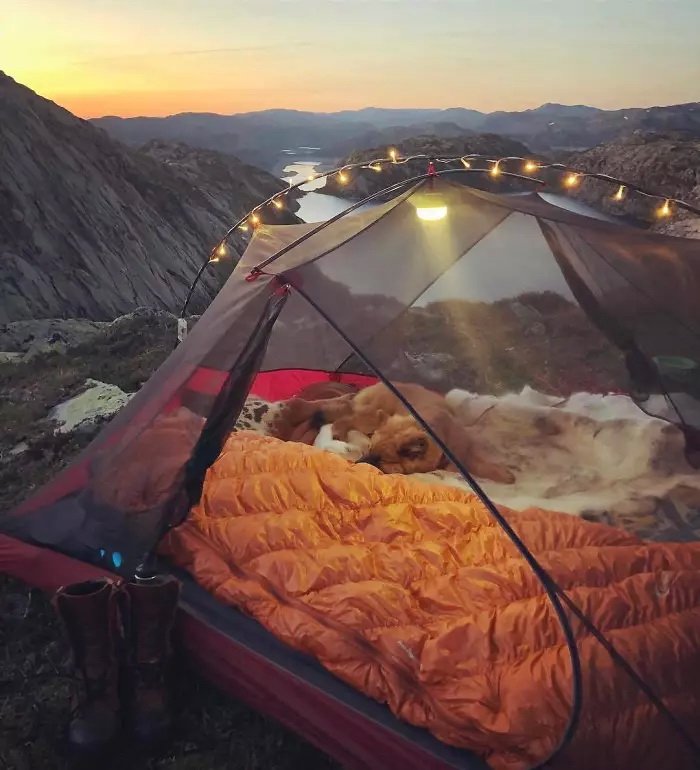 Фотография: Новый тренд дикого туризма – палатки с прозрачными стенками №13 - BigPicture.ru