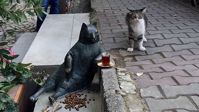 Стамбульский кот Томбили, которому поставили памятник за вальяжную позу