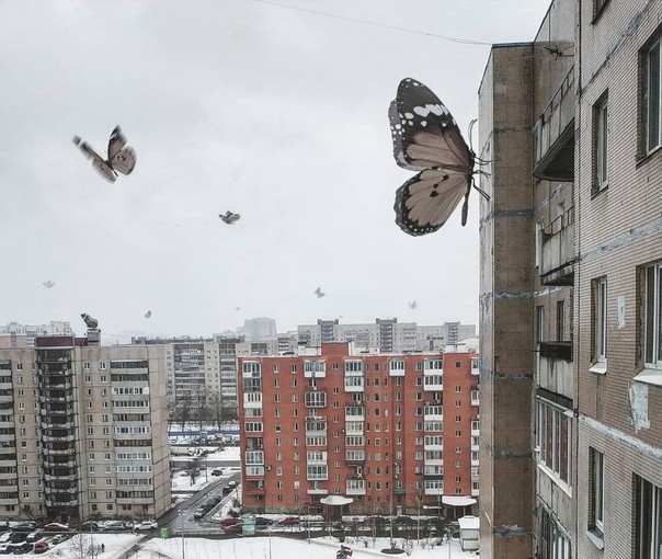 Фотография: Другой Питер: художник населил город необычными обитателями №15 - BigPicture.ru