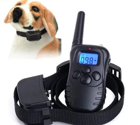 Электронные ошейники: лучший способ дрессировки собак