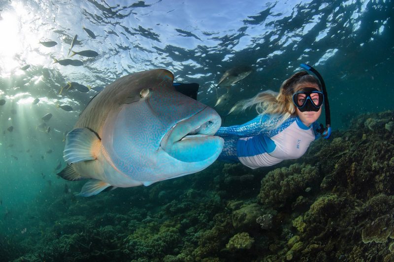 Фотография: Все называют ее снимки фотошопом, но они реальны: удивительные кадры дайвера и подводного мира №3 - BigPicture.ru