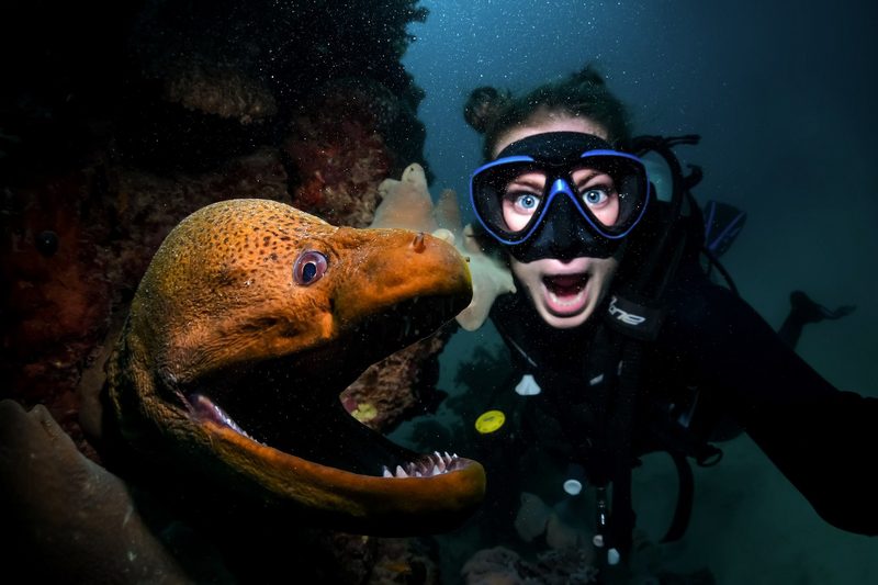 Все называют ее снимки фотошопом, но они реальны: удивительные кадры дайвера и подводного мира