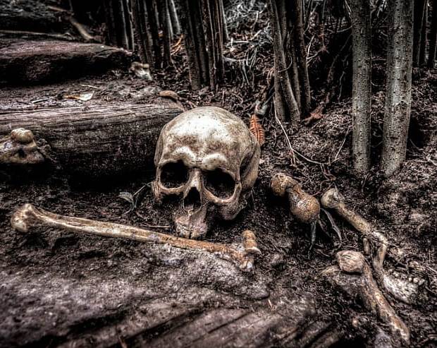 Фотография: 10 смертельных опасностей, подстерегающих в наших лесах №9 - BigPicture.ru