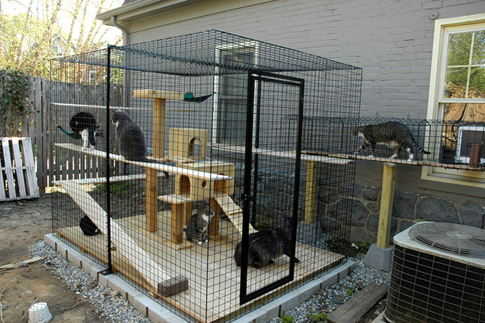 Фотография: Что такое и как выглядит котио, игровая площадка для кошек на свежем воздухе №25 - BigPicture.ru