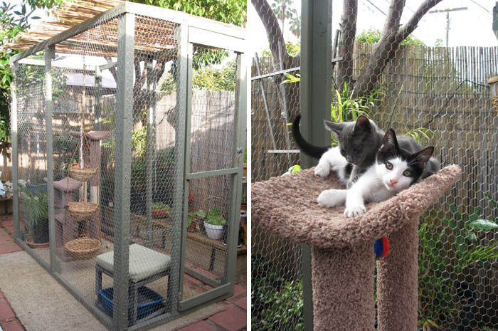 Фотография: Что такое и как выглядит котио, игровая площадка для кошек на свежем воздухе №26 - BigPicture.ru